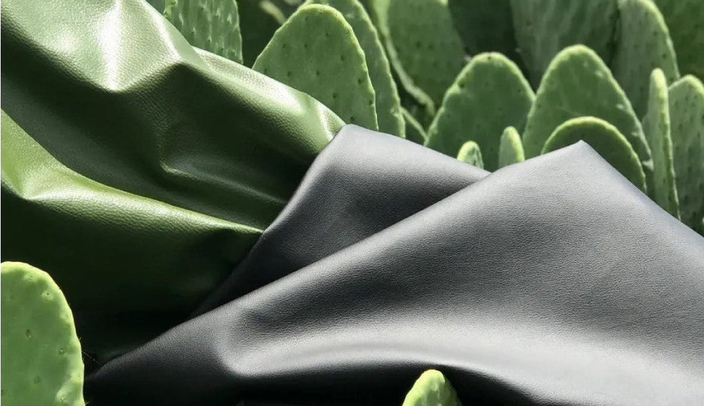 Desserto cactus leather in front of a field of nopal cactus from which it is made