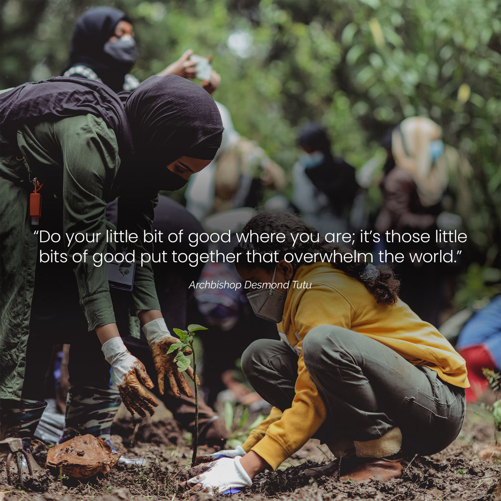 Planting a tree